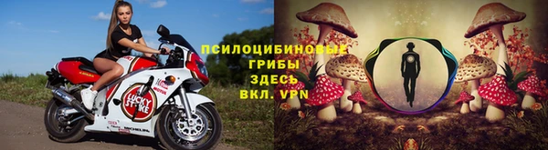 скорость Алзамай