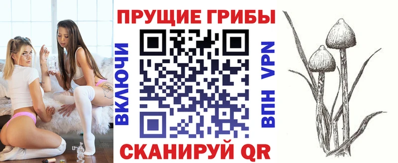 Галлюциногенные грибы мицелий  закладки  Калининск 
